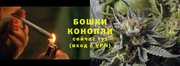 спайс Карпинск