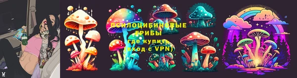 гидропоника Касимов