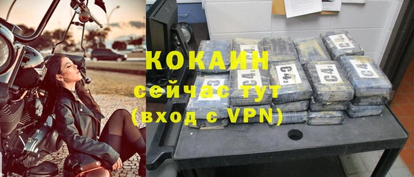спайс Карпинск