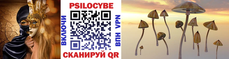 Купить где  Лукоянов  Галлюциногенные грибы мухоморы 
